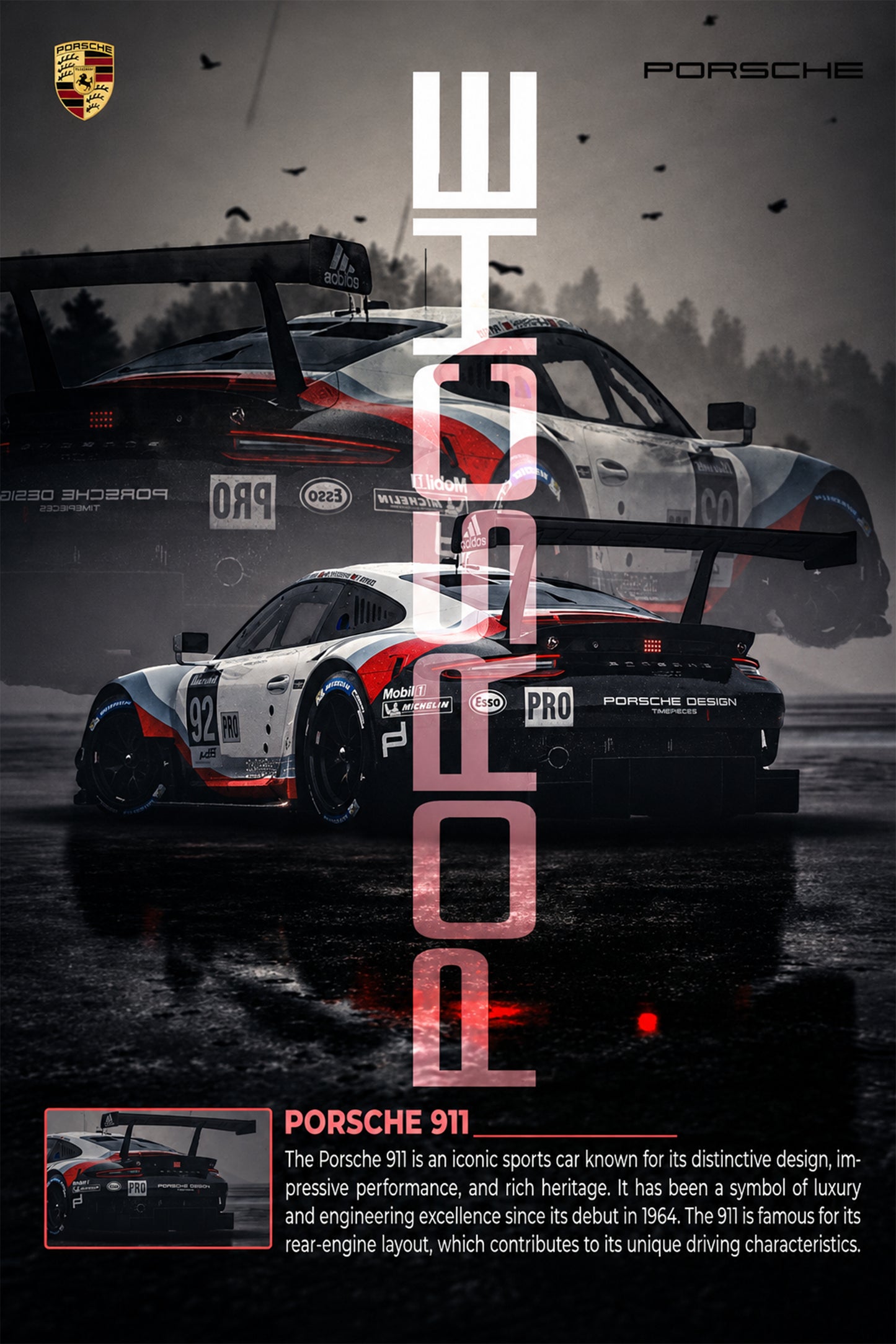 Porsche 911 | Motorsport Legacy Edition Framed Wall Art
